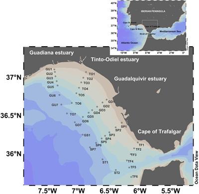 Dissolved Organic Matter in the Gulf of Cádiz: Distribution and Drivers of Chromophoric and Fluorescent Properties